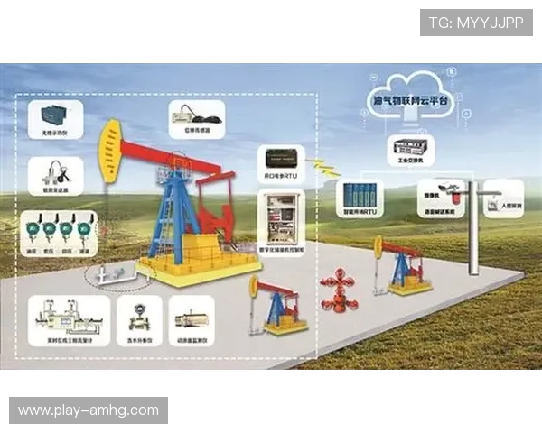 新濠博亚娱乐：探讨公司在数字化转型中的关键举措与成效