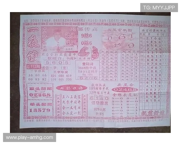 七星手机版下载全新版本上线，带来更多精彩内容和优化升级方案